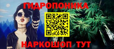 дмт Шебекино