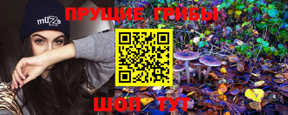 Богородск  хочу   Вход с VPN  Псилоцибиновые грибы Psilocybine cubensis 